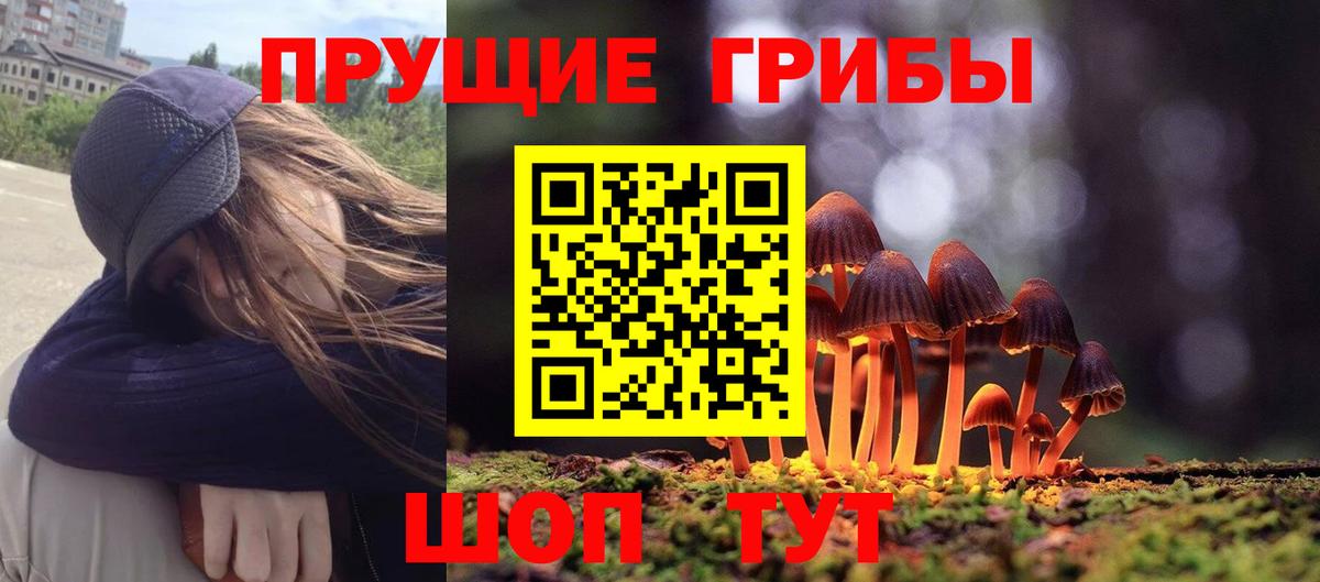 Псилоцибиновые грибы Cubensis Октябрьский